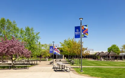 campus buildings and trees on a sunny day
