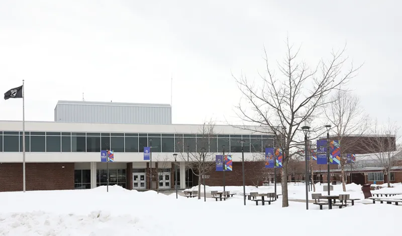 buildings and trees with snow