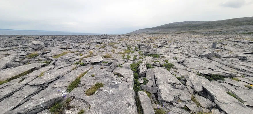 Burren landscape, Co. Clare, Aug 2024